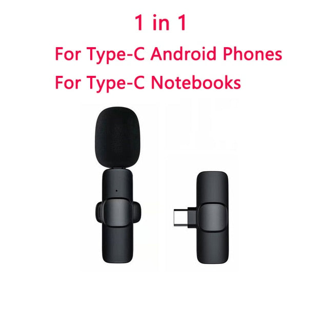 Rechargeable Wireless Microphone