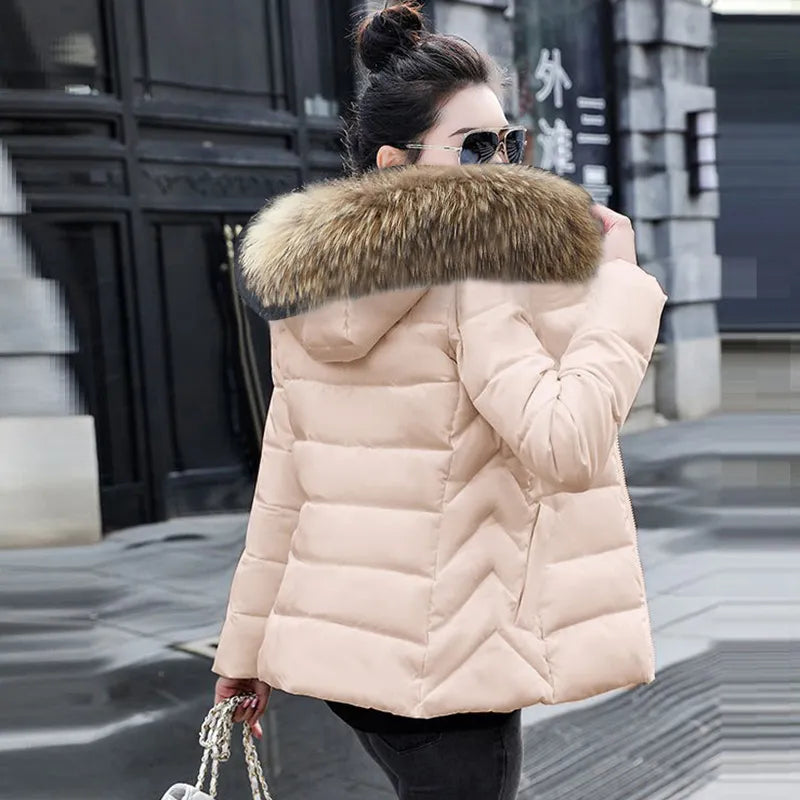 Autumn Female Jacket  Hooded Winter Coat women's Jacket RJ