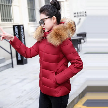 Autumn Female Jacket  Hooded Winter Coat women's Jacket RJ