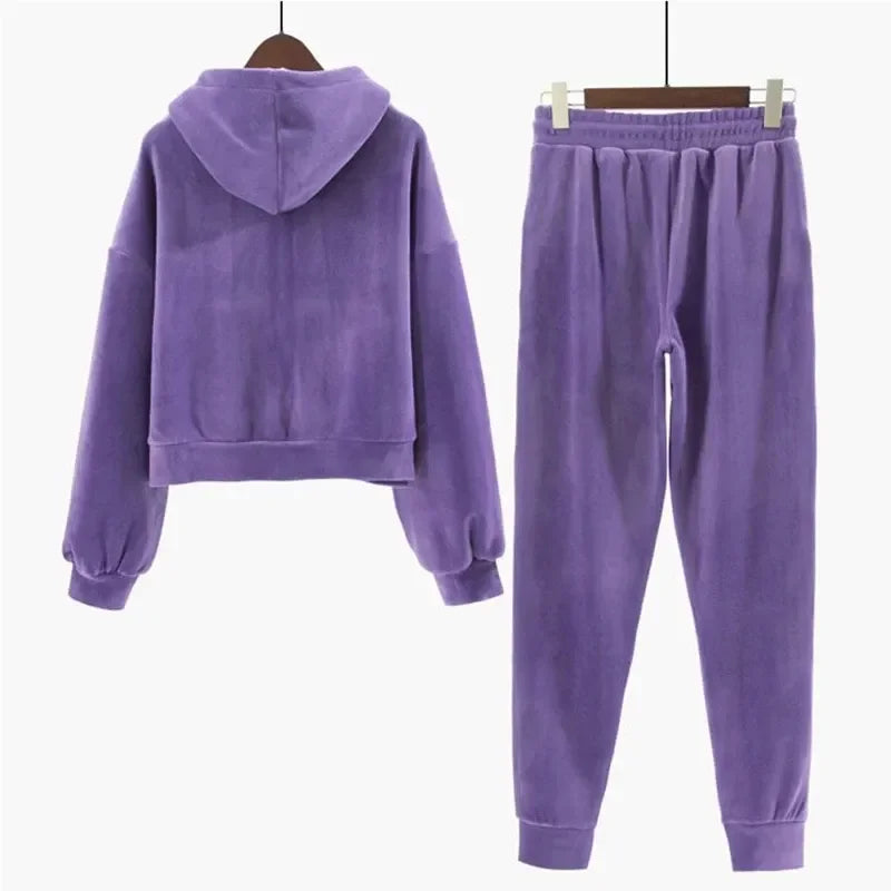 Women Velvet Tracksuit Zipper Hooded Sweatshirt and Sweatpants Solid Color 2 Piece Set Autumn Winter Warm Casual Female Suit 7